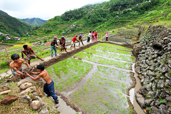 Discover the efforts shaping stronger communities